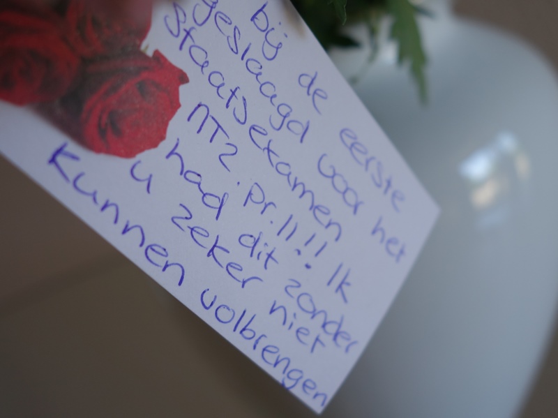 Inburgeren, maar welk examen