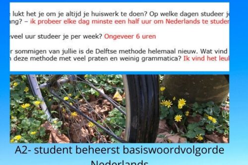 basiswoordvolgorde Nederlands