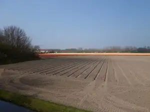 Inburgeren voor expats blijft op niveau A2