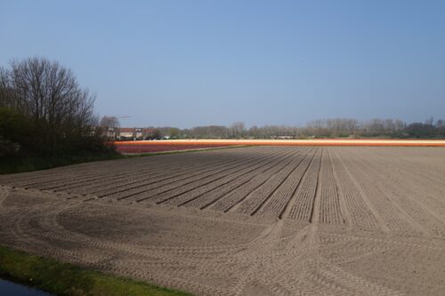 Inburgeren voor expats blijft op niveau A2