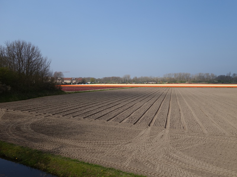 Inburgeren voor expats blijft op niveau A2